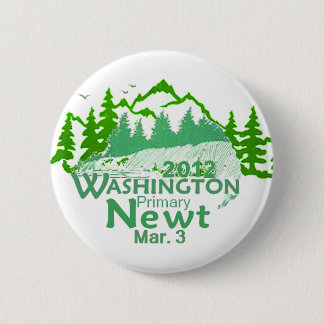 Gingrich Washington Button