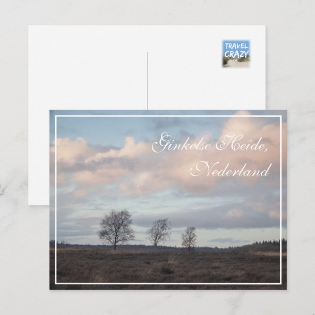 Ginkel Heath, Ede, Netherlands Landscape Postcard (Front/Back)