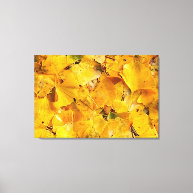 Ginkgo Biloba leaves Canvas Print (Front)