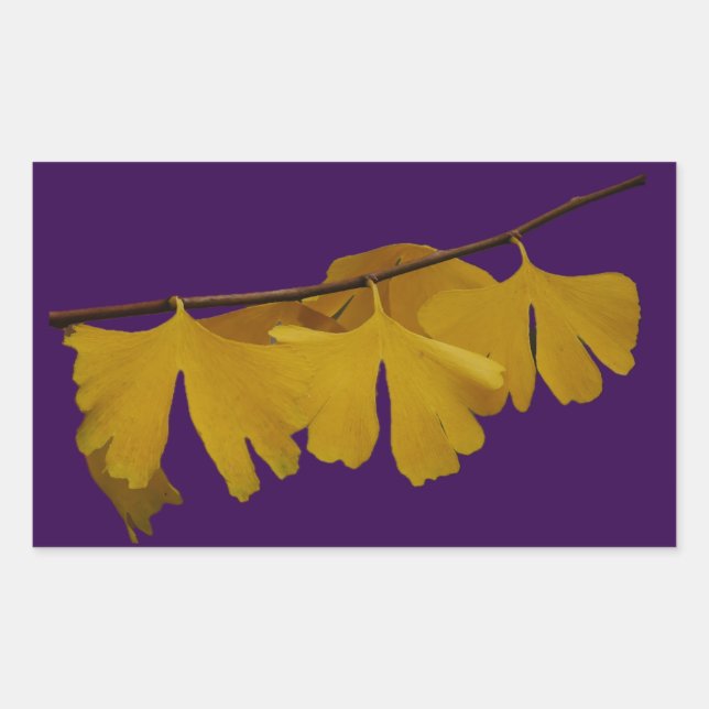 Ginkgo Biloba Leaves Sticker (Front)