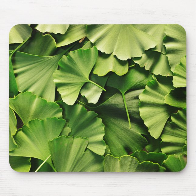 ginkgo biloba tree leaf nature plant texture mouse pad (Front)