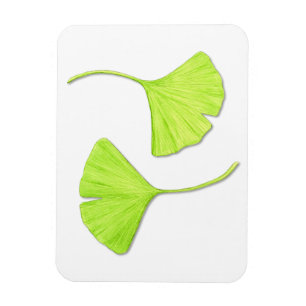 Ginkgo Feuille Flexi Magnet