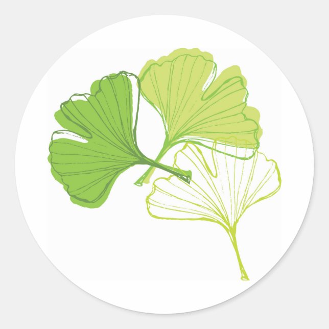 Ginkgo Leaf Classic Round Sticker (Front)