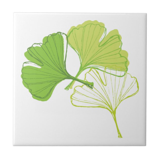 Ginkgo Leaf Tile (Front)
