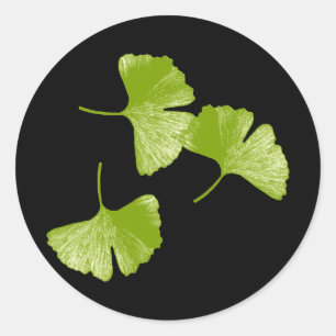 Ginkgo Leaves Classic Round Sticker