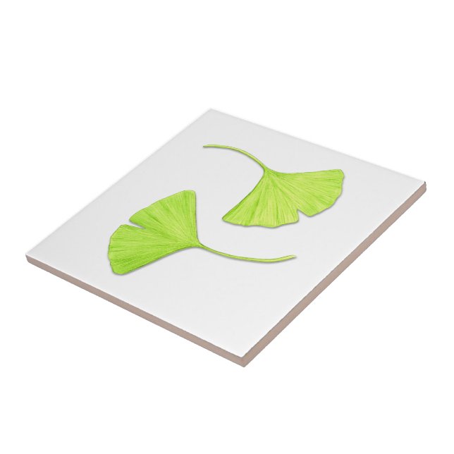 Ginkgo Leaves Nature Art Tile (Side)