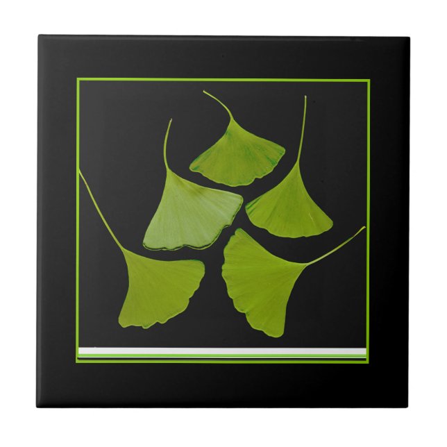 ginkgo leaves tile (Front)