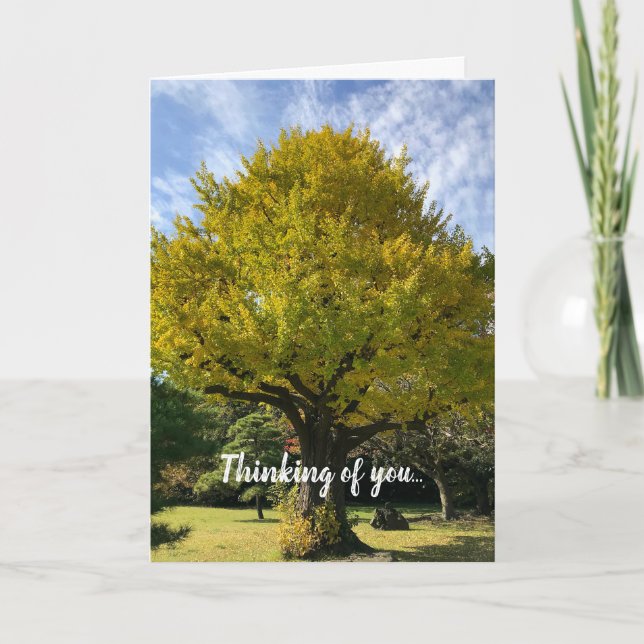 Ginkgo Tree of Golden Yellow Card (Front)