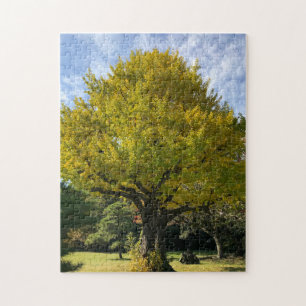 Ginkgo Tree of Golden Yellow Jigsaw Puzzle