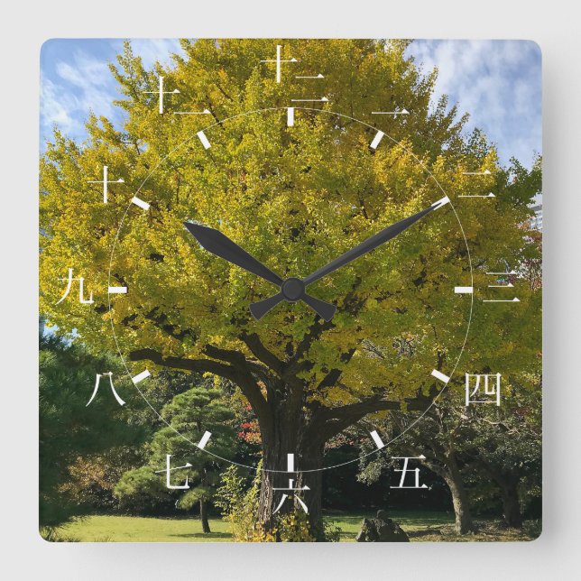 Ginkgo Tree of Golden Yellow Square Wall Clock (Front)