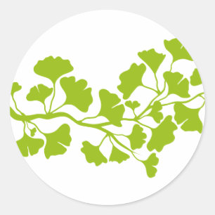 ginkgo tree silhouette with green leaves classic round sticker