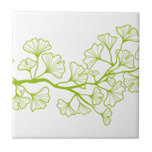 ginkgo tree with green leaves tile