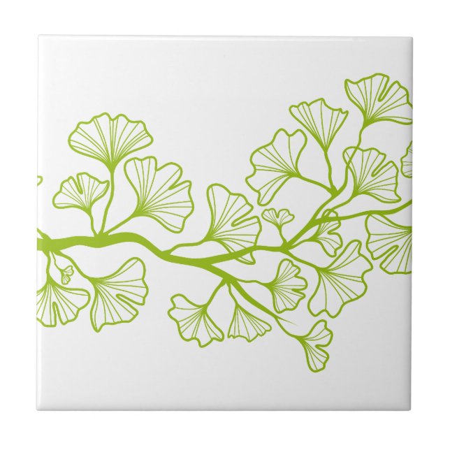 ginkgo tree with green leaves tile (Front)