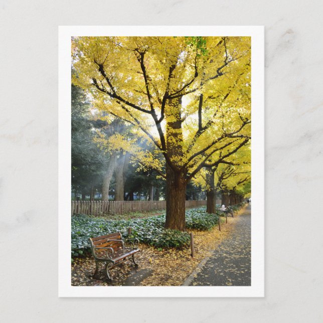 Ginkgo Trees: Meiji Jingu Gaien, Tokyo Postcard (Front)