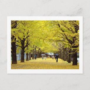 Ginkgo Trees: Showa Kinen Park, Tokyo Postcard