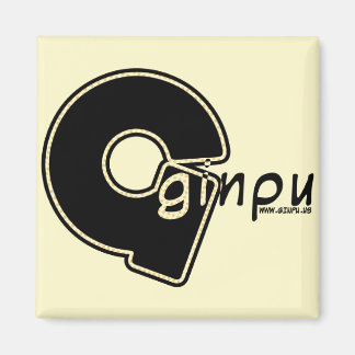 Ginpu Magnet