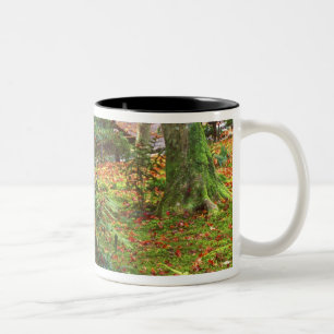 Giohji Temple, Arashiyama, Kyoto, Japan Two-Tone Coffee Mug