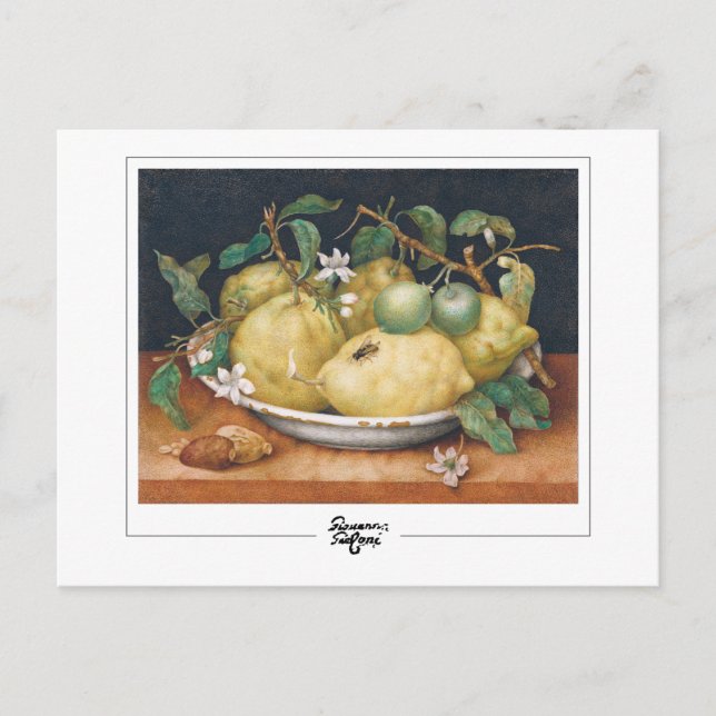 Giovanna Garzoni #4 - Carte postale Art (Devant)