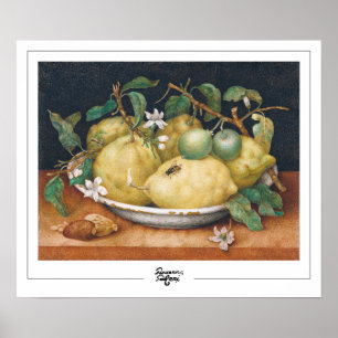 Giovanna Garzoni Zedign Art Poster #4