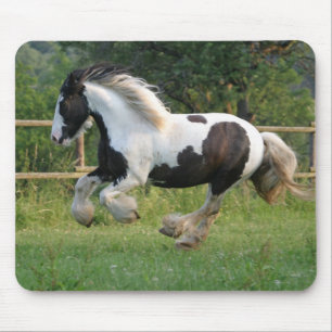 Gipsy horse mousepad
