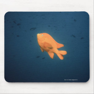 Girabaldi Mouse Pad