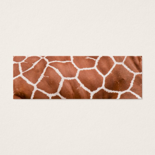 Girafe (Devant)