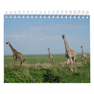 Girafe calendrier