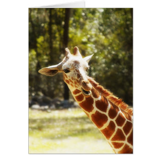 Girafe semi-transparente