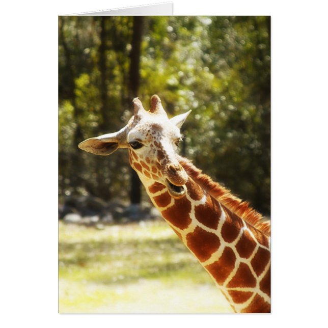 Girafe semi-transparente (Devant)
