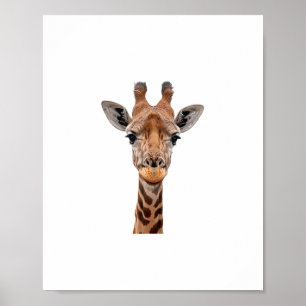 Giraffe _1 poster