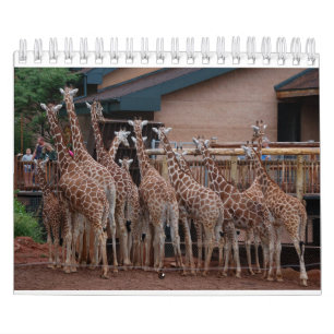 Giraffe 2022 5.5” x 7” calendar