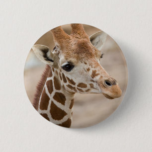 giraffe 2 inch round button