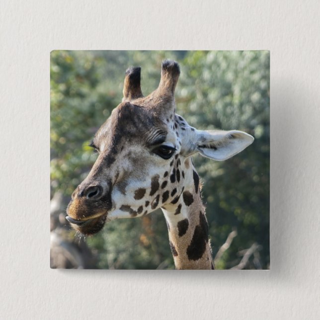 Giraffe 2 Inch Square Button (Front)
