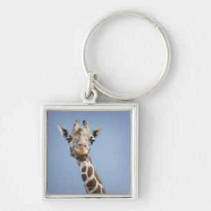 Giraffe 2 keychain