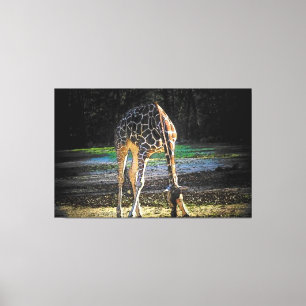 Giraffe 2Design Canvas Print