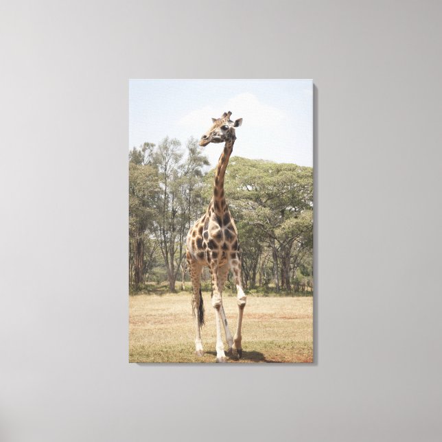 Giraffe 3 canvas print (Front)
