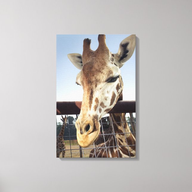 Giraffe 4 canvas print (Front)
