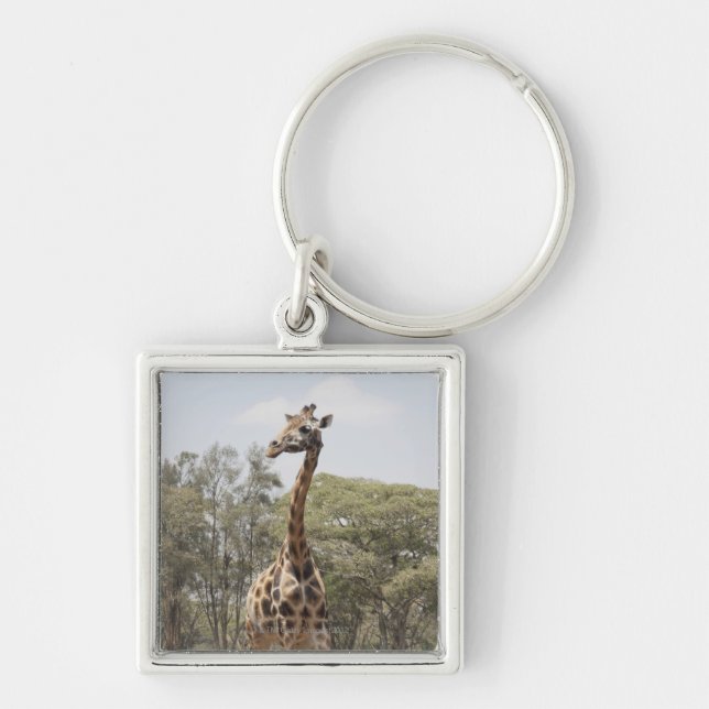 Giraffe 5 keychain (Front)