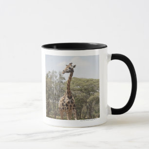 Giraffe 5 mug