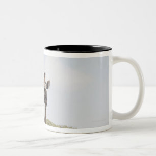 Giraffe 5 Two-Tone coffee mug