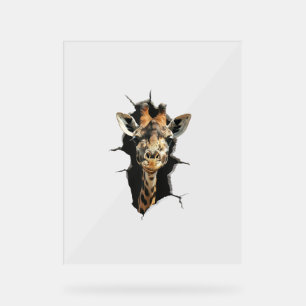 Giraffe _7