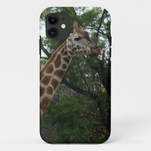 Giraffe Adventure, iPhone 11 Case