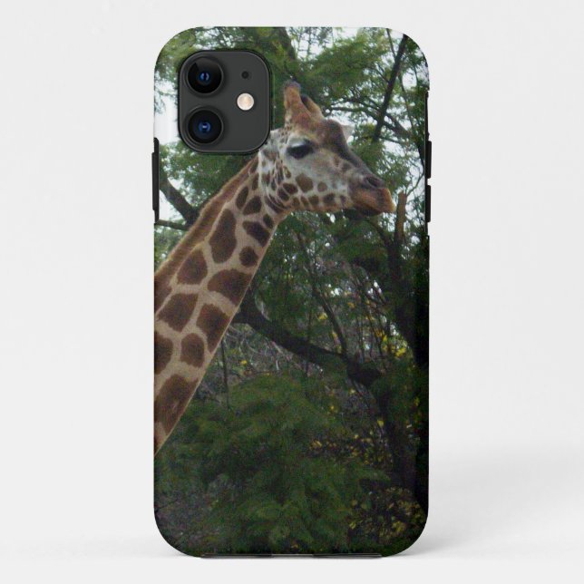 Giraffe Adventure, Case-Mate iPhone Case (Back)