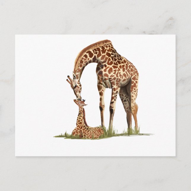 Giraffe and baby calf kissing postcard (Front)