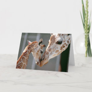 Giraffe and Baby note card