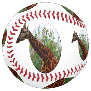 Giraffe And Hibiscus Flowers, Softball
