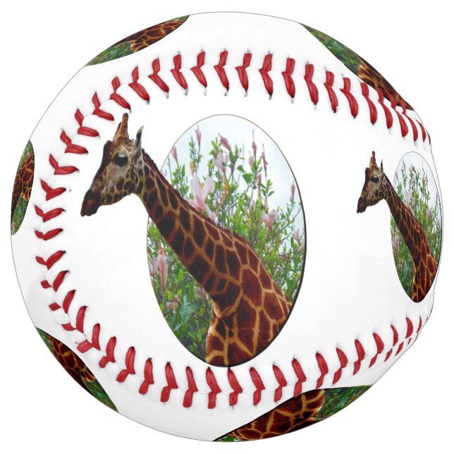 Giraffe And Hibiscus Flowers, Softball (Front Left)