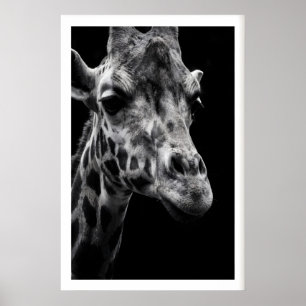Giraffe Art Print Crisp Monochrome Photography