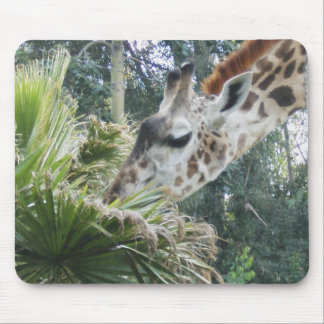 Giraffe at Lunch Mouse Pad