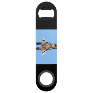 Giraffe Bar Key